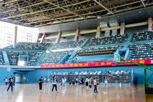 深圳大学体育馆爆料视频,揭秘校园运动设施新面貌